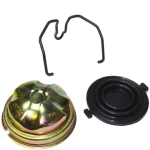 Click Here For Full Product Info 5218B CAP-MASTER CYLINDER-COVER AND BAIL AND SEAL-64