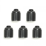 Click Here For Full Product Info E14404 CAP SET-WHEEL-VALVE STEM-CORRECT 627 AND DILL LETTERING-5 PC-60-04
