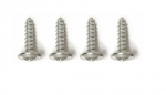Click Here For Full Product Info E18545 SCREW KIT-BODY MOUNT-ACCESS COVER PLATE-4 PIECES-61-62