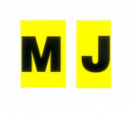 Click Here For Full Product Info E19019 DECAL-VALVE COVER ENGINE CODE LETTER MJ-69